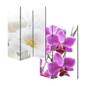 Foto scherm Bagheria, 180x120cm, Orchidee Foto scherm Bagheria, 180x120cm, Orchidee