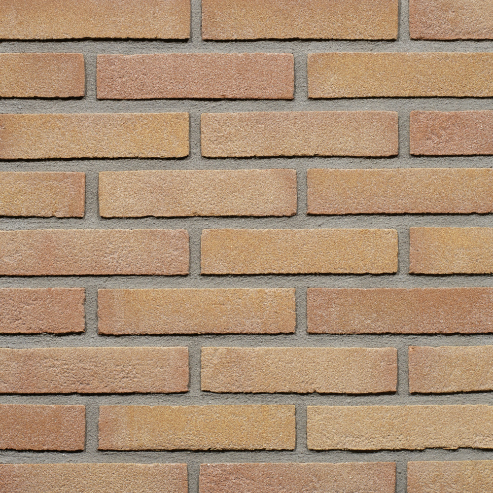Wienerberger Gevelsteen Beige Rood Vormbak Waalformaat 210x100x50mm
