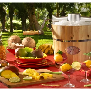 Elektrische sorbetmaker GIVRETO van hout 5.5L – Koop nu eenvoudig en goedkoop online Elektrische sorbetmaker GIVRETO van hout 5.5L – Koop nu eenvoudig en goedkoop online