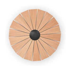 EYE wandlamp moderne stijl – D. ø82 cm– interieur- LED SMD- 14W- klein- 3000K- zwart en licht hout EYE wandlamp moderne stijl – D. ø82 cm– interieur- LED SMD- 14W- klein- 3000K- zwart en licht hout