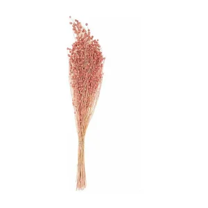 Gedroogd roze vlas – 70 cm Gedroogd roze vlas – 70 cm