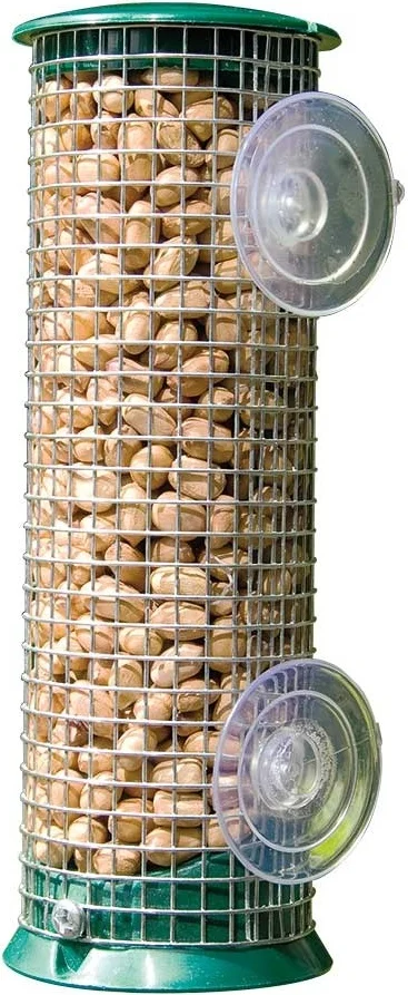 CJ Wildlife raamvoederhuis Discovery groen D 7 H 21 cm