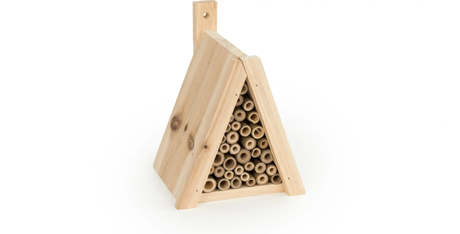 CJ Wildlife insectenhuis Tortuga naturel 15,3 x 14,2 x 19 cm