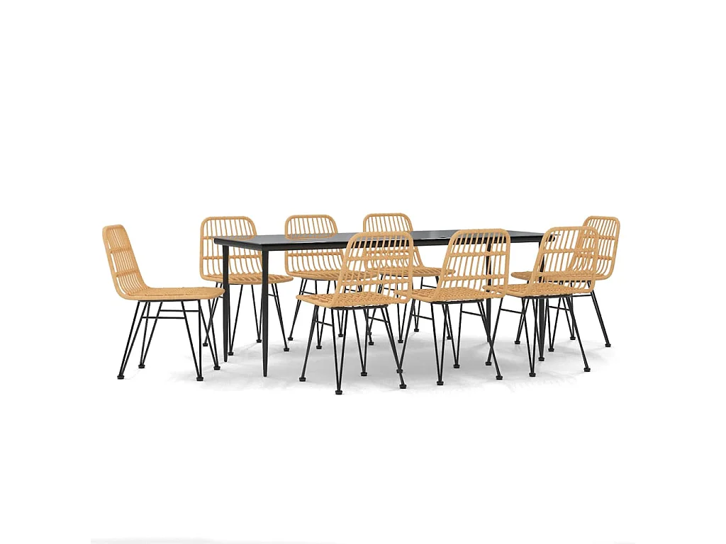 Eden Prairie 9-delige Tuinset poly rattan