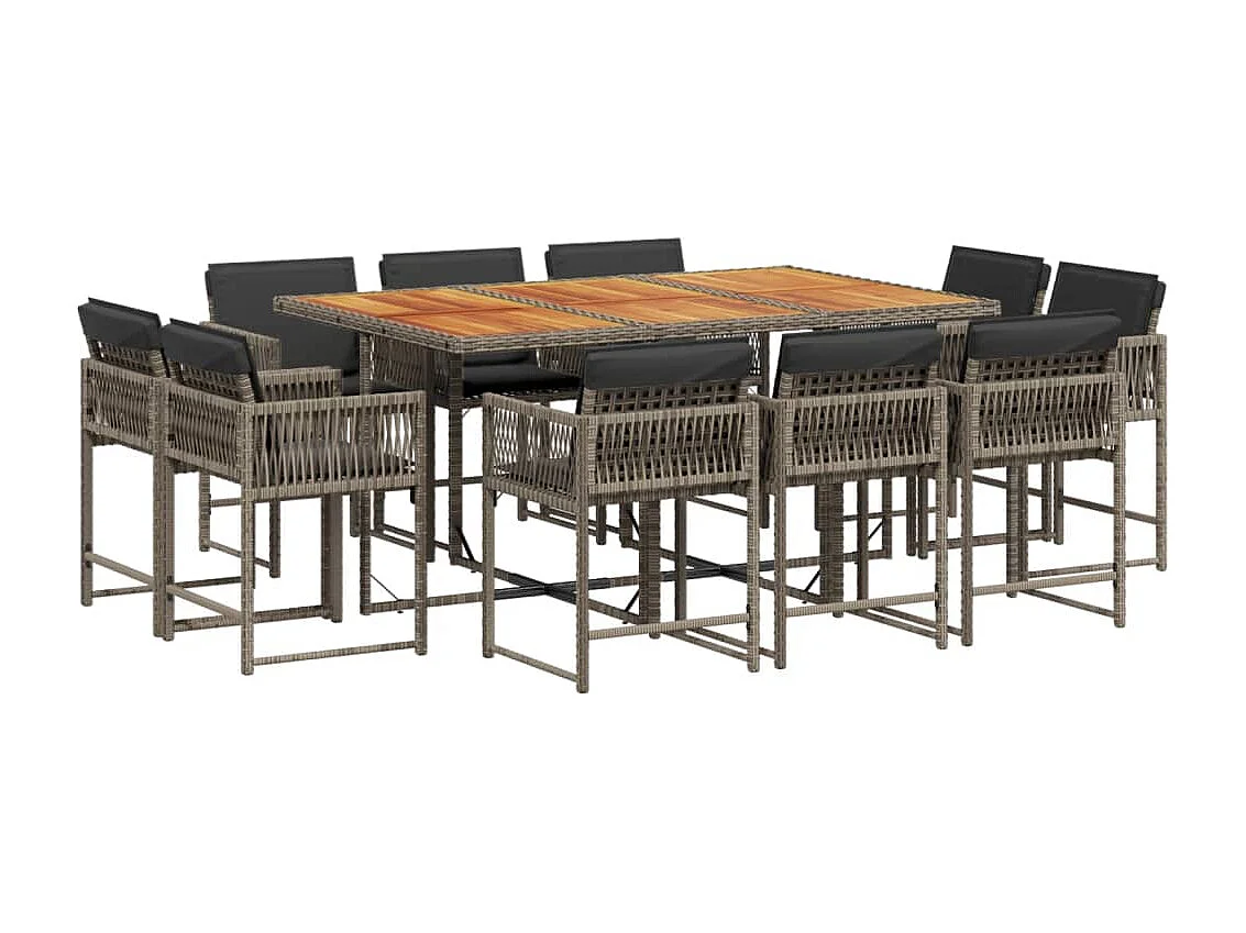 Emilia 11-delige Tuinset met kussens poly rattan grijs