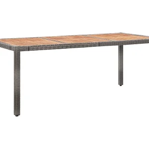 Farina  9-delige Tuinset met kussens poly rattan grijs