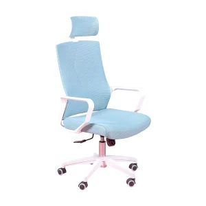 Ergonomische bureaustoel van ademend mesh en verstelbare hoofdsteun – Mesh – Blauw Ergonomische bureaustoel van ademend mesh en verstelbare hoofdsteun – Mesh – Blauw