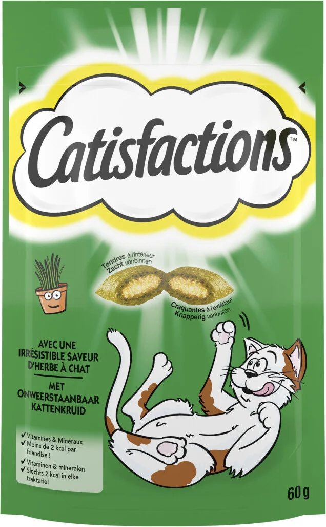 Catisfactions kattensnack catnip 60 g