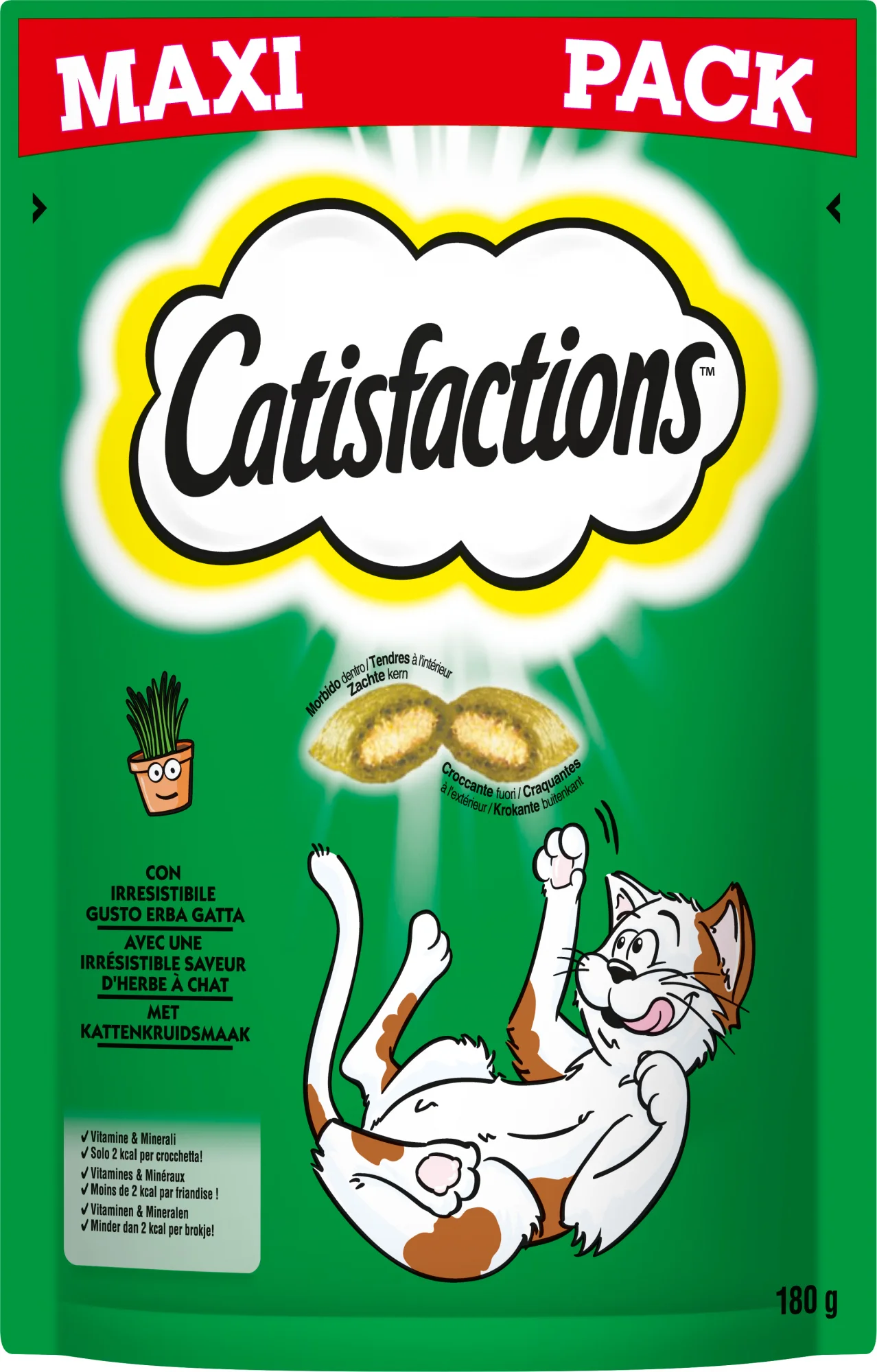 Catisfactions kattensnack catnip 180 g