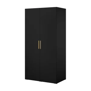 Draaideurkast Napoli 2D 100 Zwart (zwarte of gouden handgreep) Draaideurkast Napoli 2D 100 Zwart (zwarte of gouden handgreep)