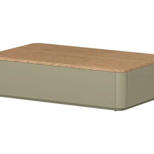 Elivo lage tafel met 2 niveaus Elivo lage tafel met 2 niveaus