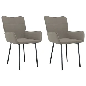 Eetkamerstoelen 2 st fluweel lichtgrijs Eetkamerstoelen 2 st fluweel lichtgrijs