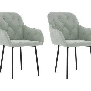 Eetkamerstoelen 2 st fluweel lichtgrijs