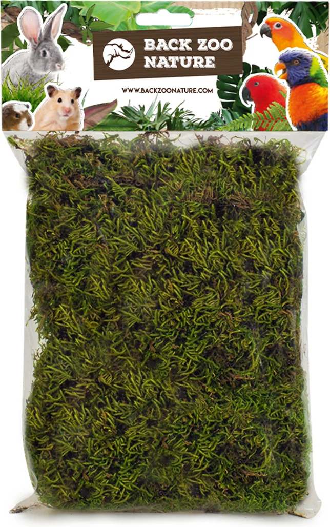 Back Zoo Nature bodembedekking Discovery Forest Moss 70 g