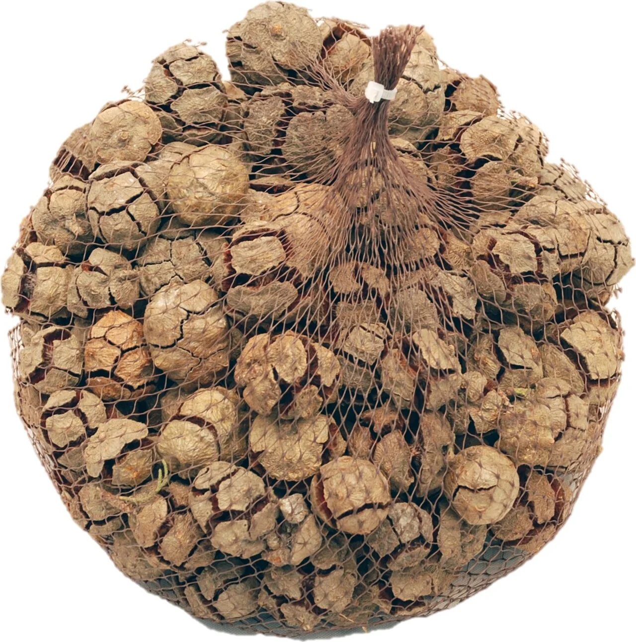 Decoratie takken Cypressus naturel 300 g
