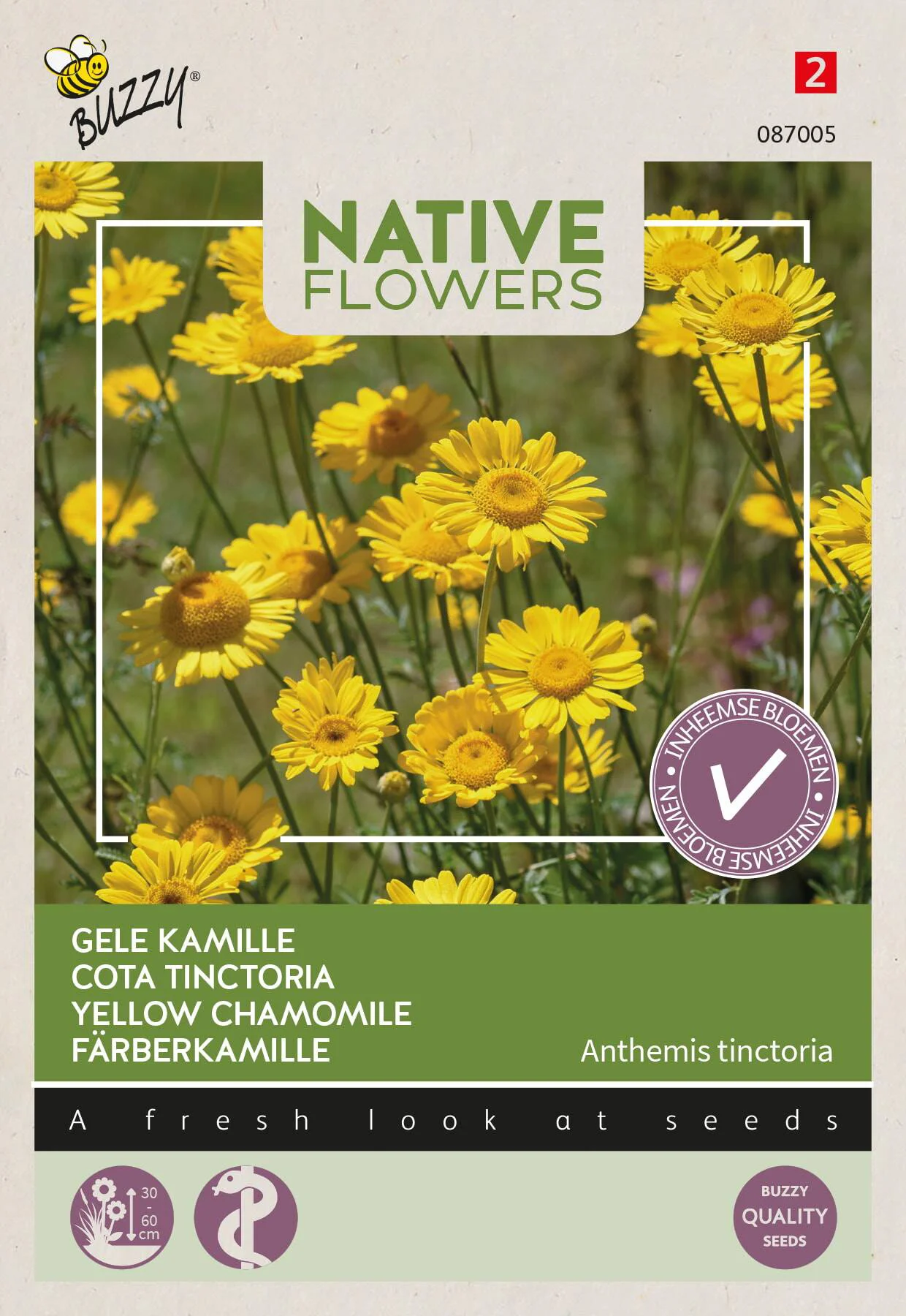 Buzzy bloemenzaad gele kamille (Anthemis tinctoria)