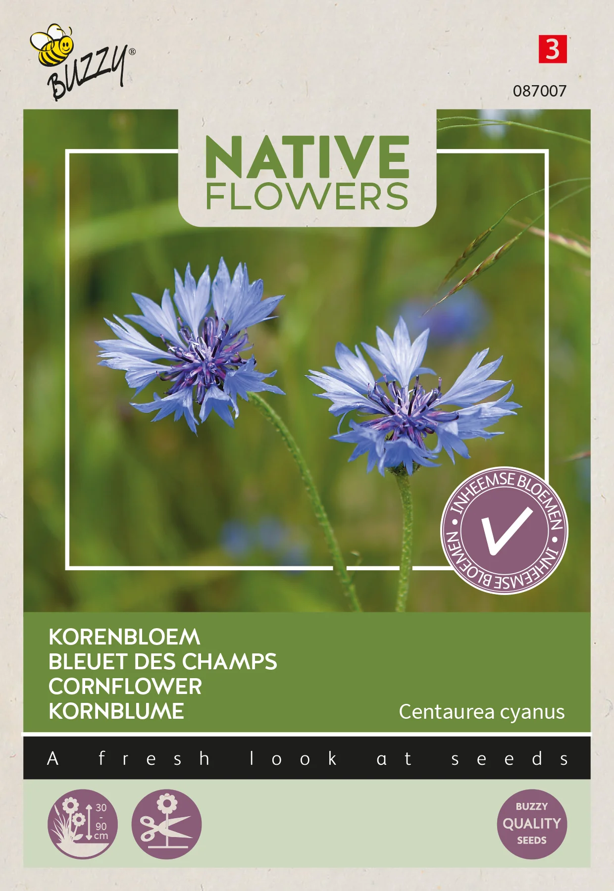 Buzzy bloemenzaad korenbloem (Centaurea cyanus)