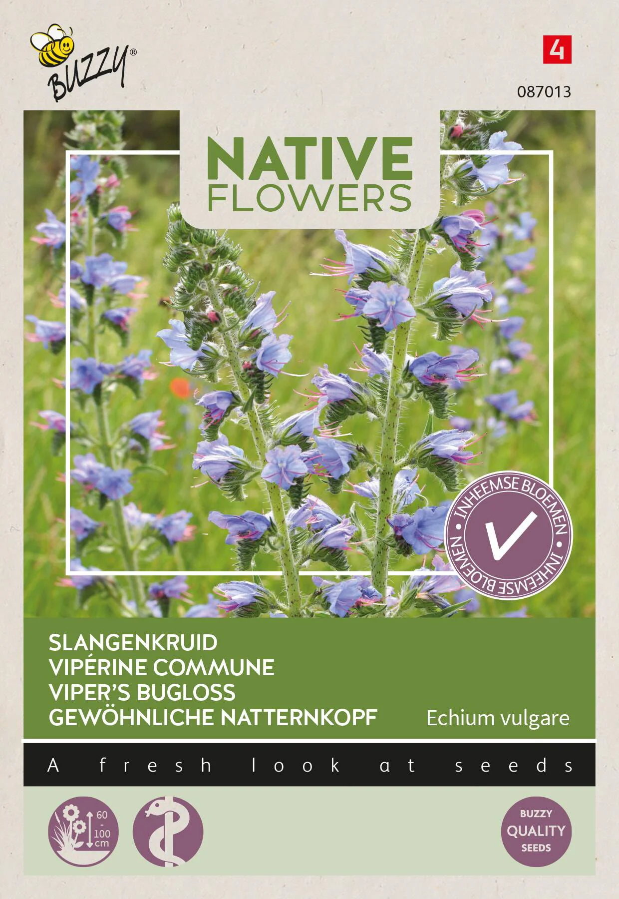 Buzzy bloemenzaad slangenkruid (Echium vulgare)