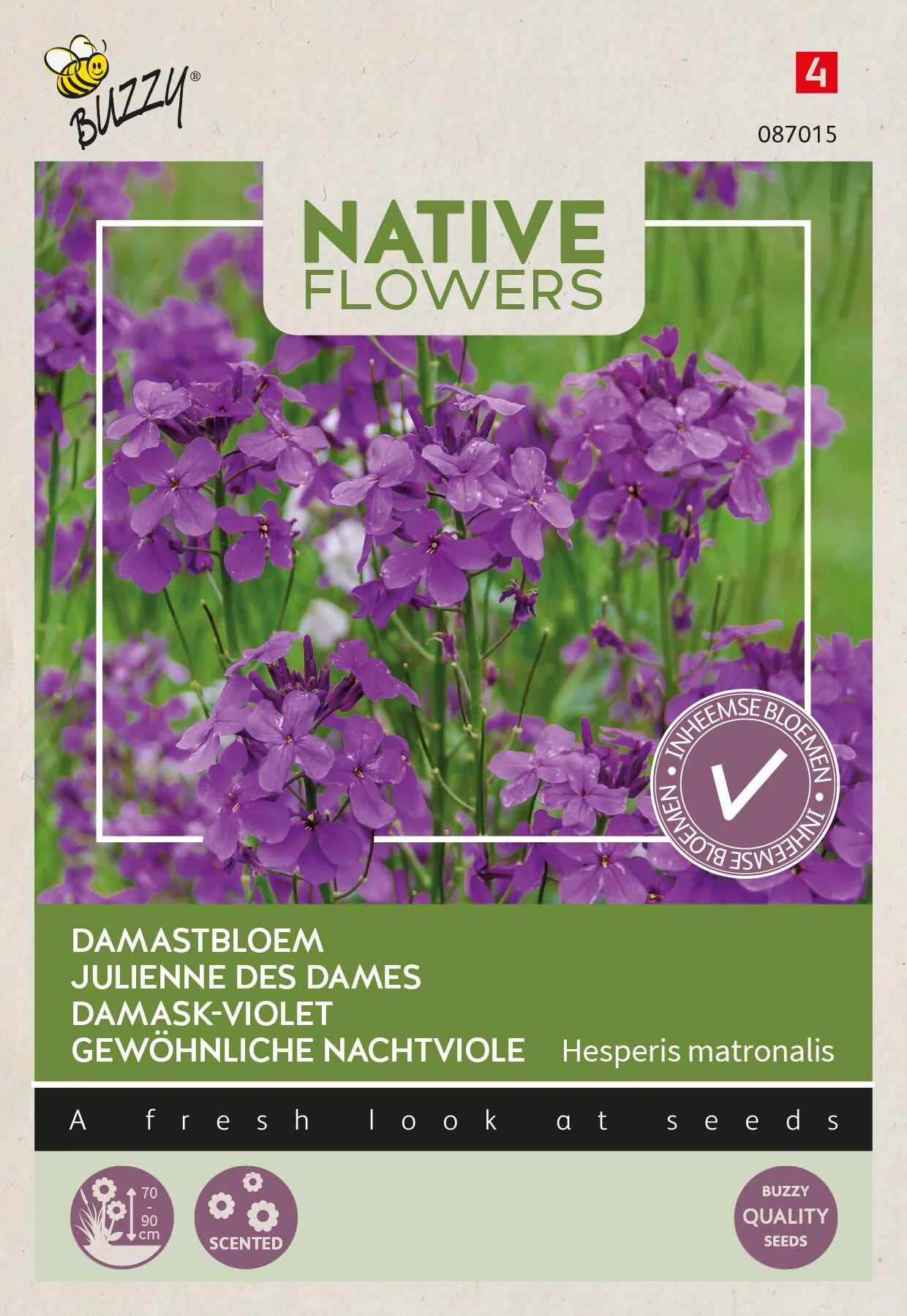Buzzy bloemenzaad damastbloem  (Hesperis matronalis)