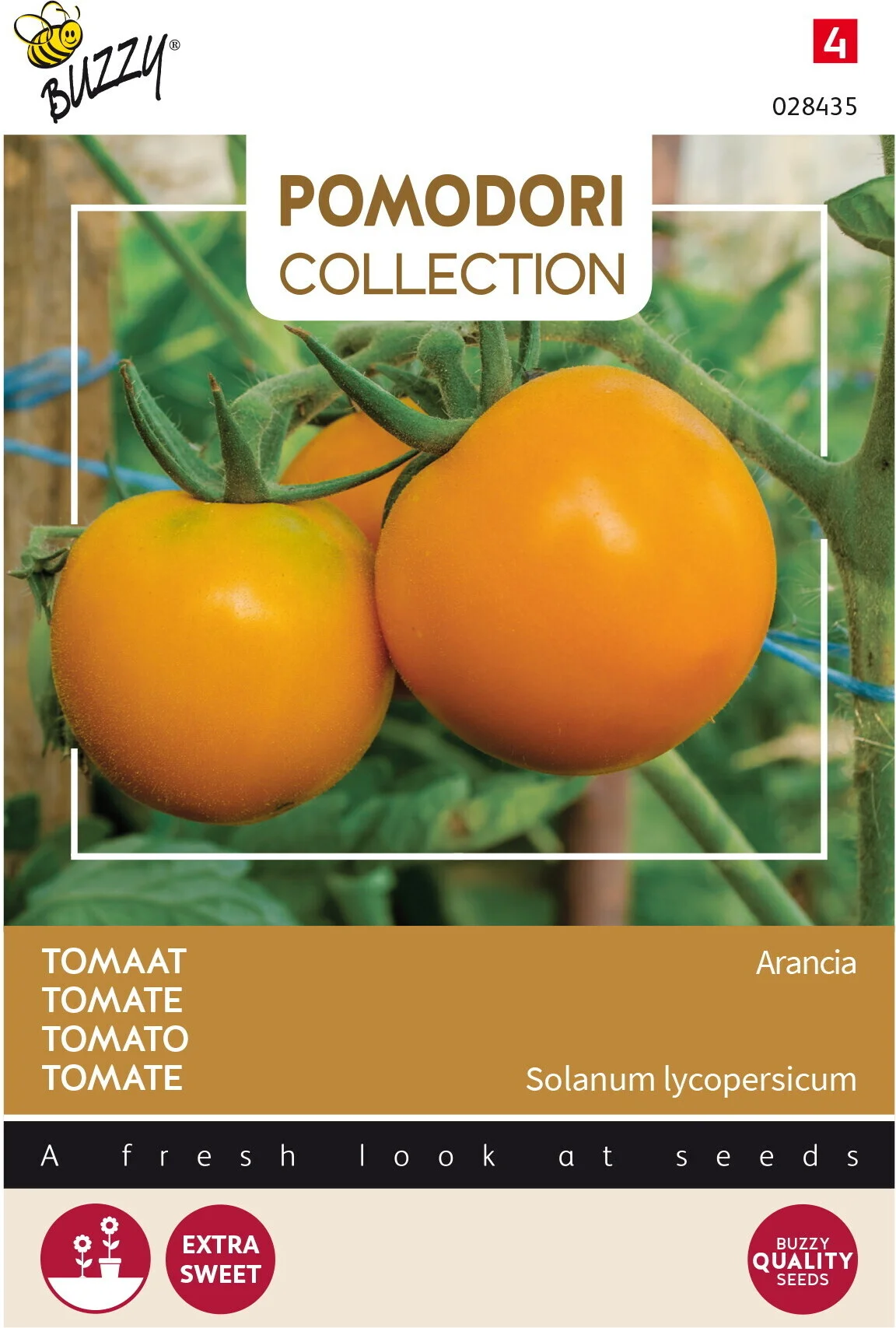 Buzzy® Pomodori groentezaad Tomaat (Lycopersicon esculentum 'Arancia')