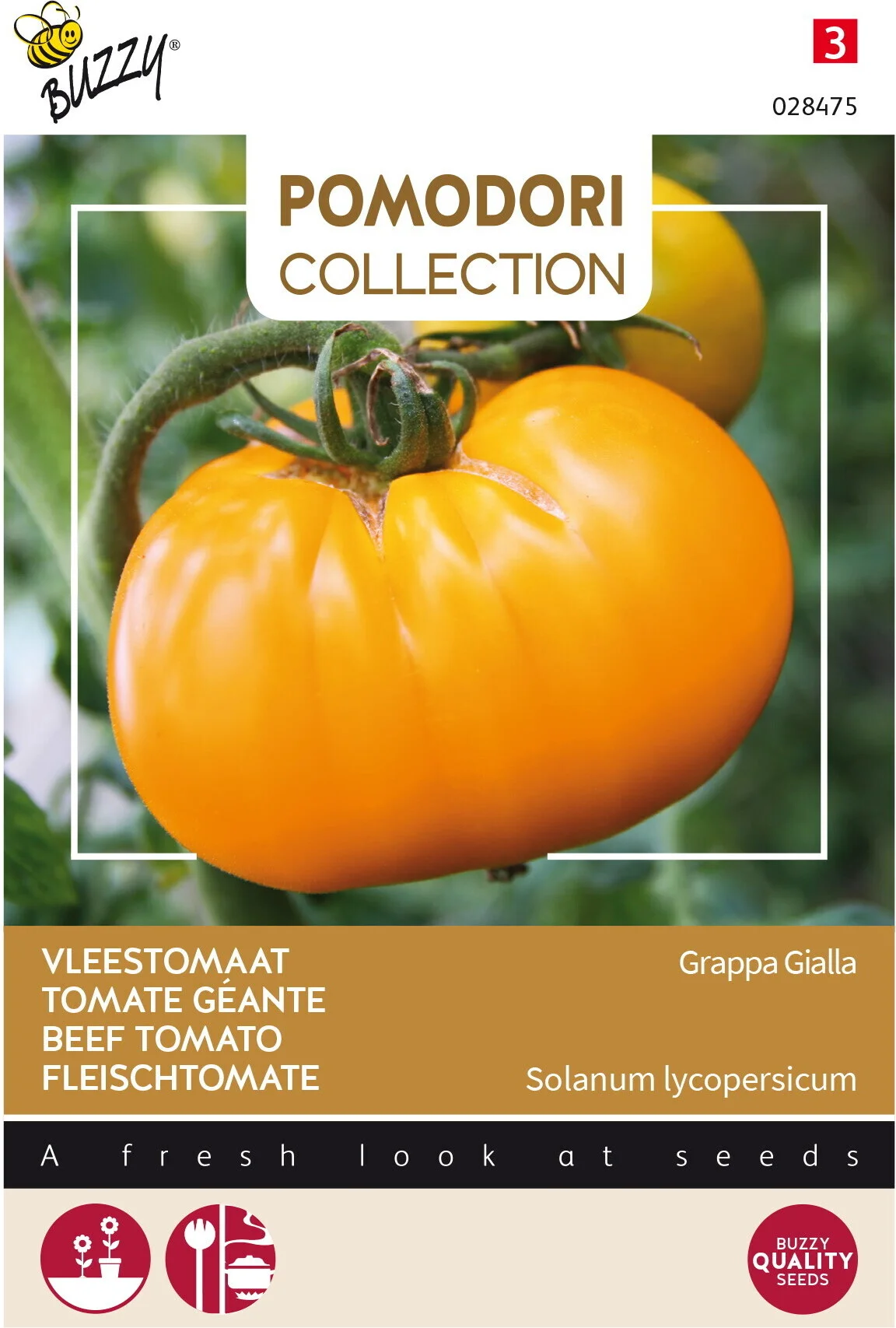 Buzzy® Pomodori groentezaad Vleestomaat (Lycopersicon esculentum 'Grappa Gialla')