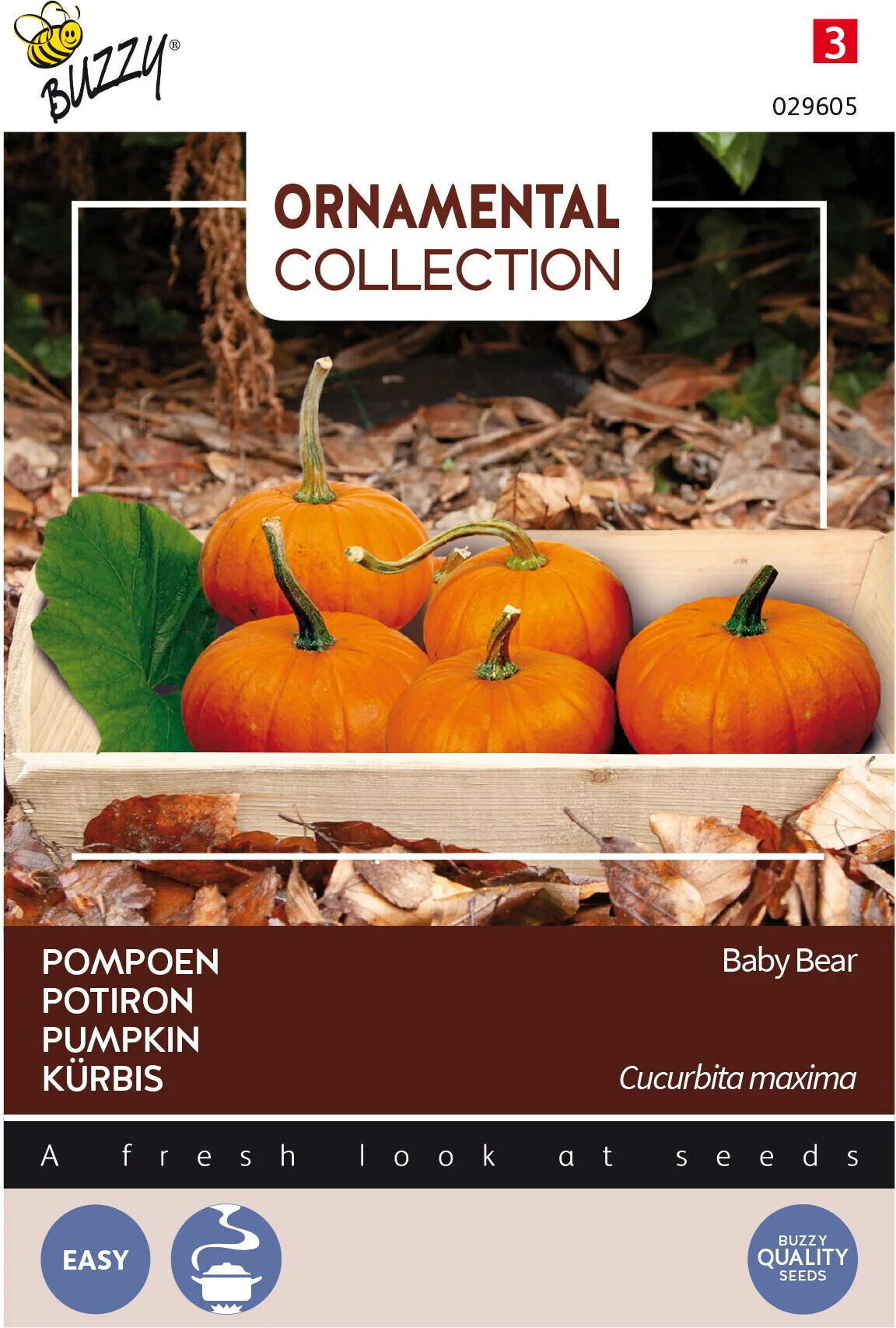 Buzzy® Ornamental groentezaad Pompoen (Cucurbita 'Baby Bear')