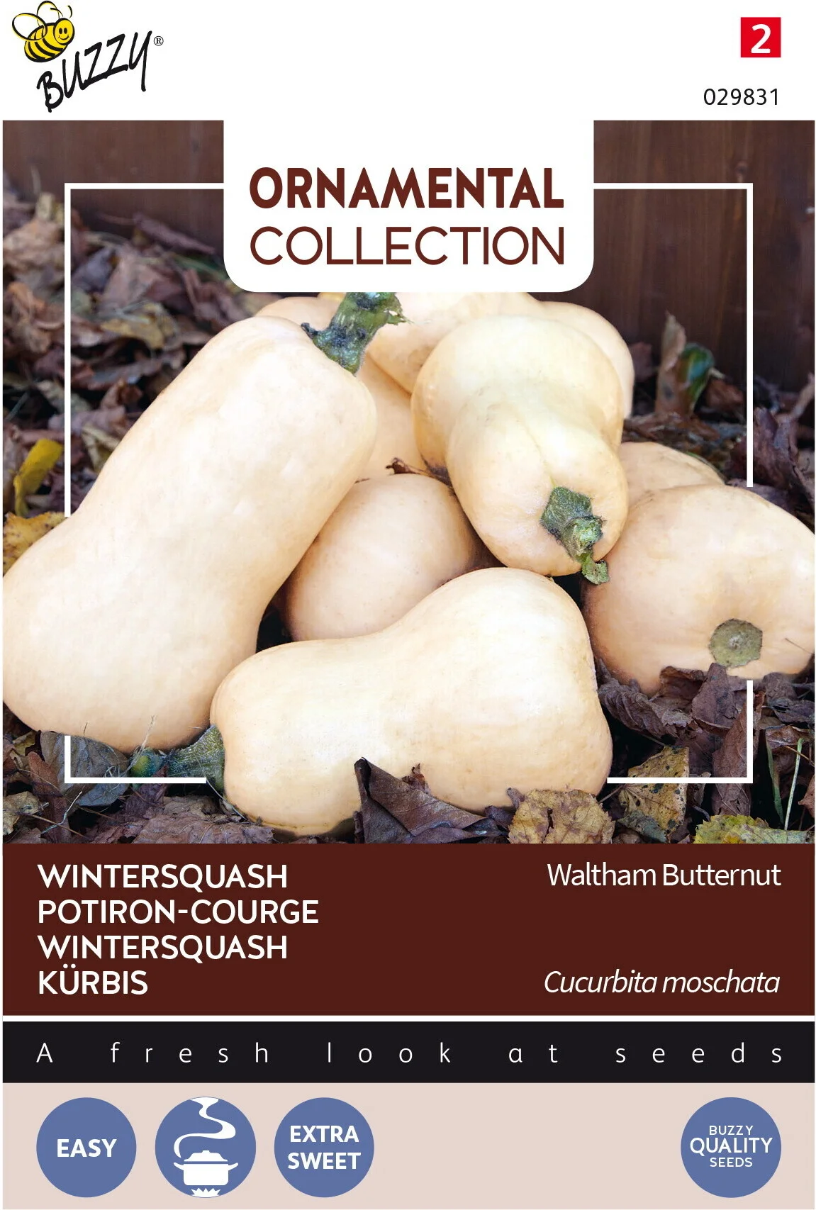 Buzzy® Ornamental groentezaad Wintersquash (Cucurbita 'Waltham Butternut')