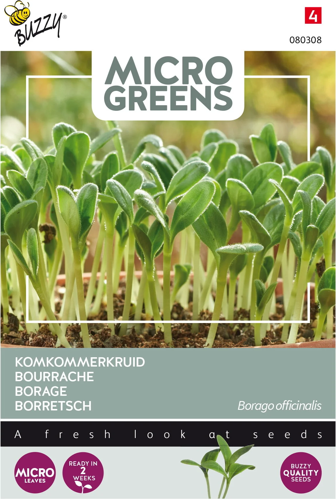 Buzzy Microgreens kiemgroentezaad Komkommerkruid (Borago officinalis)