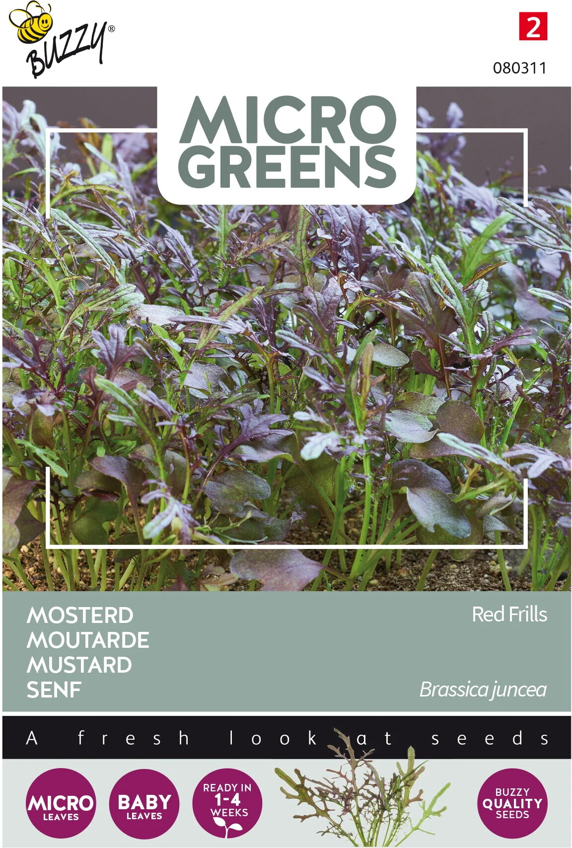 Buzzy Microgreens kiemgroentezaad Mosterd (Sinapis alba 'Red Frills')