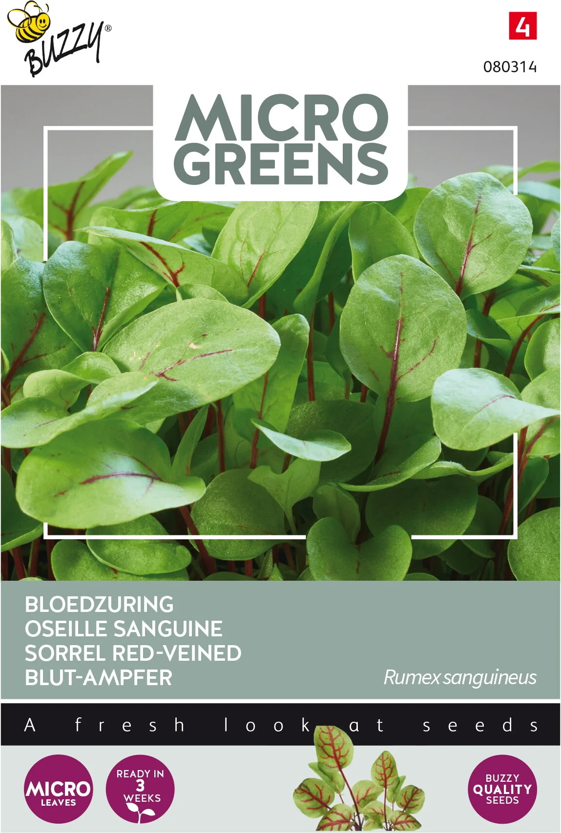 Buzzy Microgreens kiemgroentezaad Bloedzuring (Rumex sanguineus)