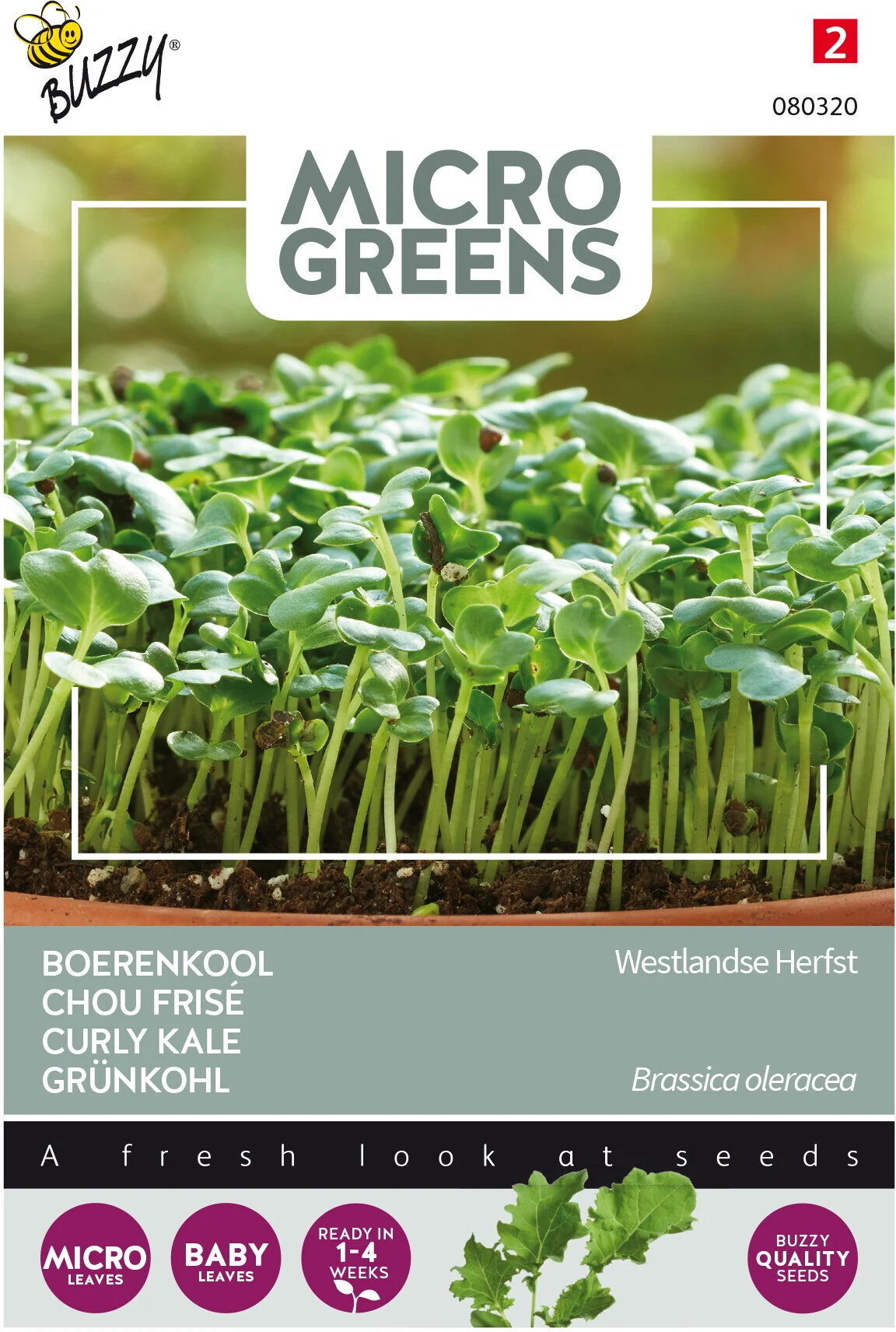 Buzzy Microgreens kiemgroentezaad Boerenkool (Brassica oleracea var. acephala sabellica)