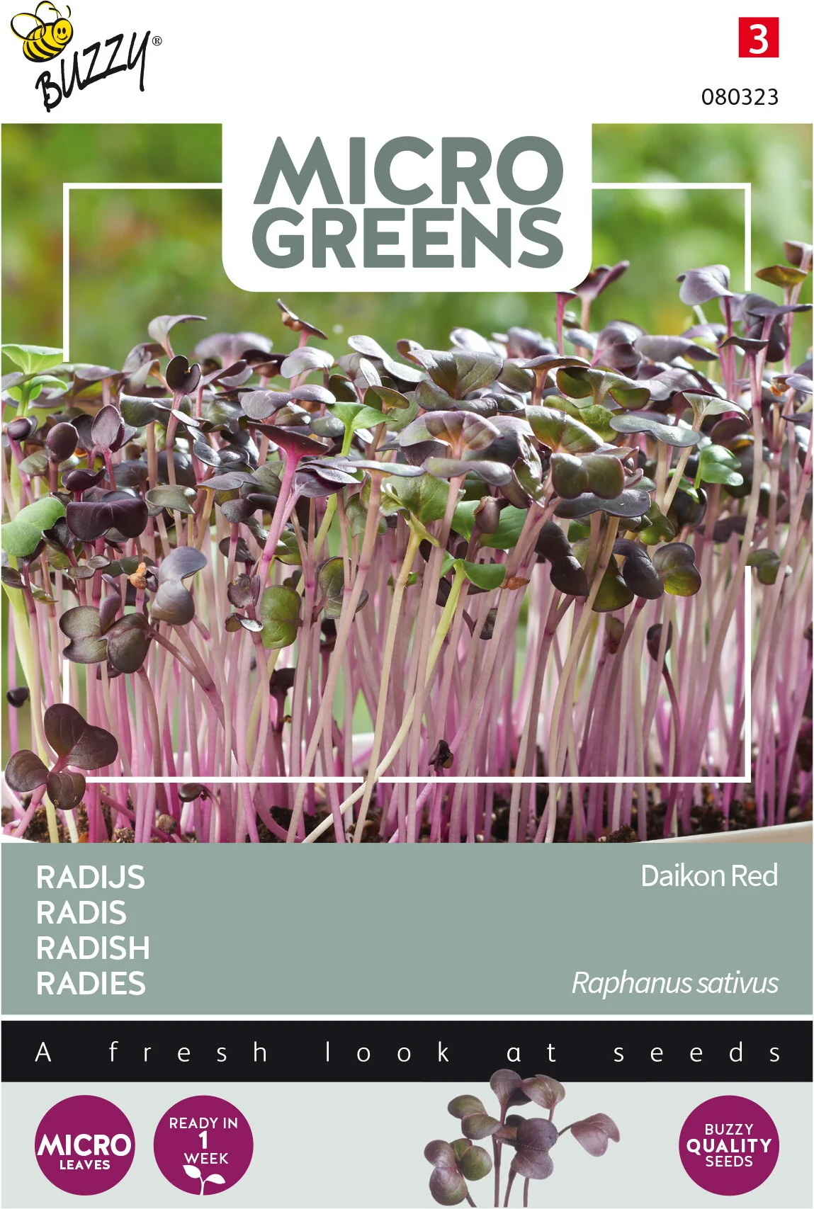 Buzzy Microgreens kiemgroentezaad Rode Daikon Radijs (Raphanus sativus)
