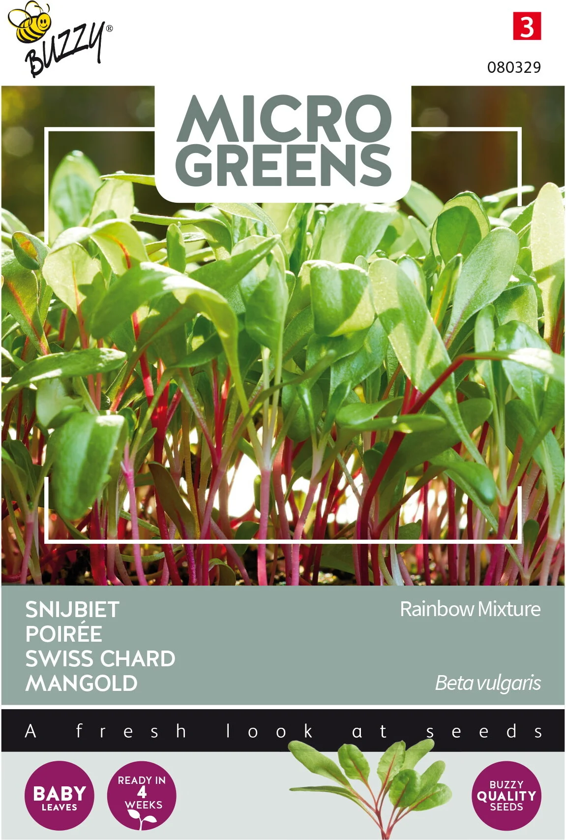 Buzzy Microgreens kiemgroentezaad Regenboog snijbiet (Beta vulgaris)
