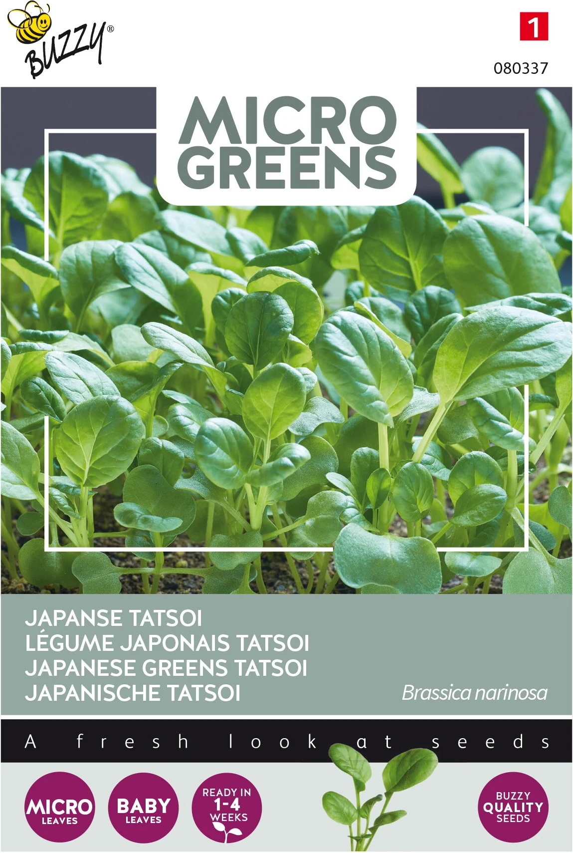 Buzzy Microgreens kiemgroentezaad Tatsoi (Brassica narinosa)
