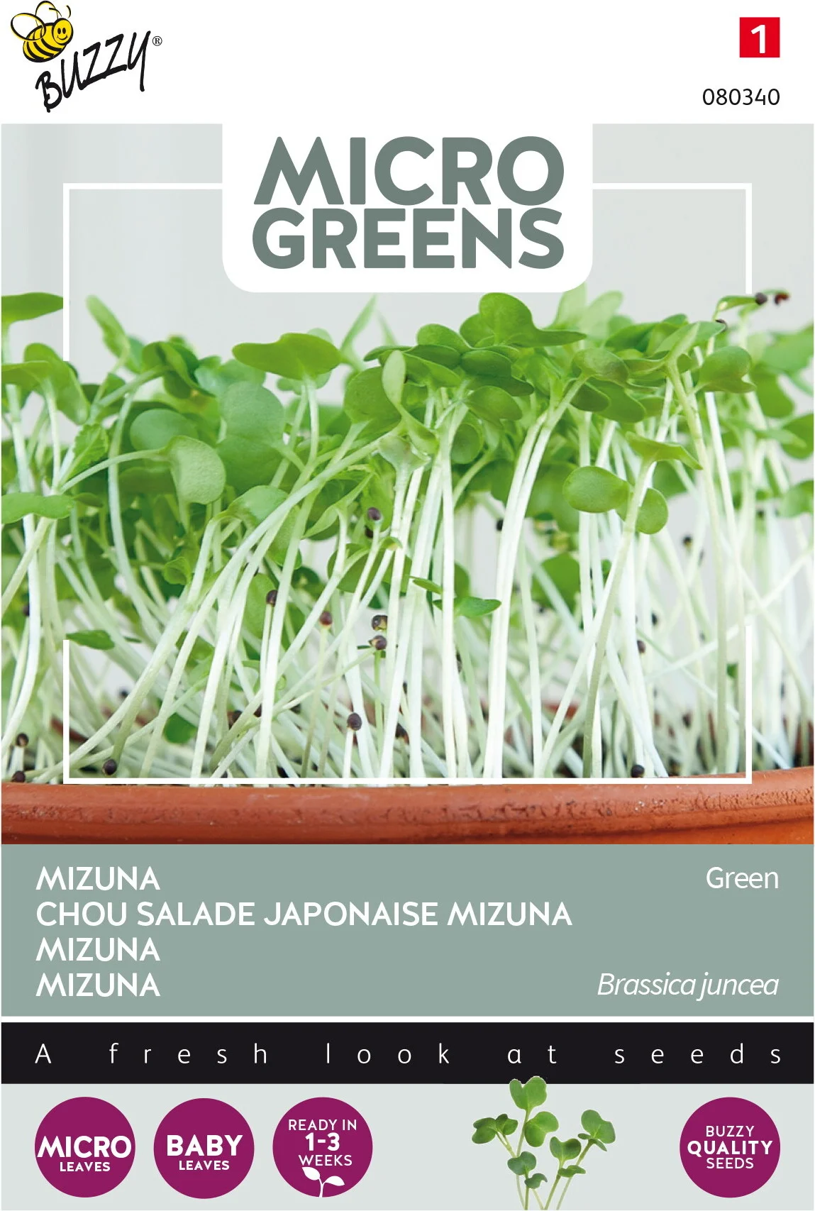 Buzzy Microgreens kiemgroentezaad Mizuna (Brassica rapa)