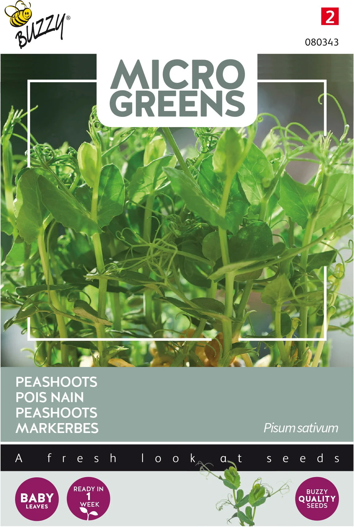 Buzzy Microgreens kiemgroentezaad Bonenkiem (Pisum sativum)