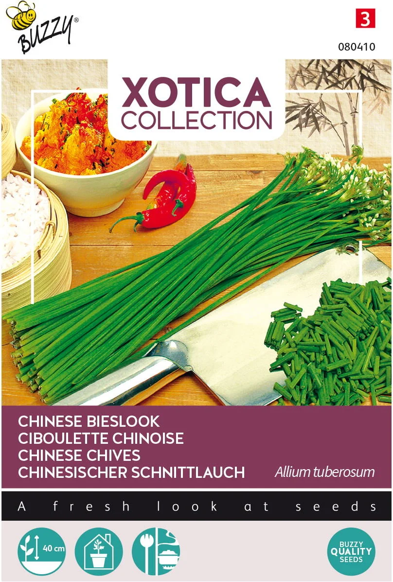 Buzzy® Thema SeriesXotica Chinese Bieslook