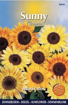 Buzzy bloemenzaad Zonnebloem (Helianthus annuum 'Music Box')