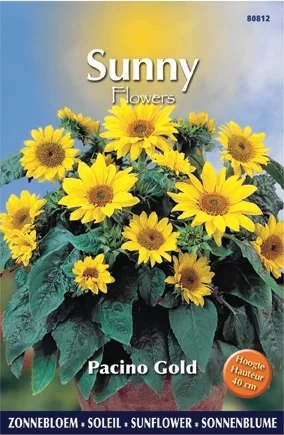 Buzzy bloemenzaad Zonnebloem (Helianthus annuum 'Pacino Gold')