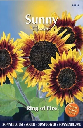 Buzzy bloemenzaad Zonnebloem (Helianthus annuum 'Ring of Fire')