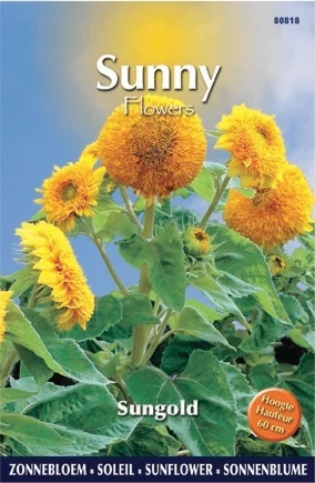 Buzzy bloemenzaad Zonnebloem (Helianthus annuum 'Sungold')