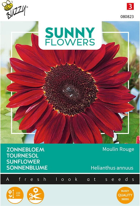 Buzzy Sunny Flowers Bloemenzaad Zonnebloem (Helianthus 'Moulin Rouge')