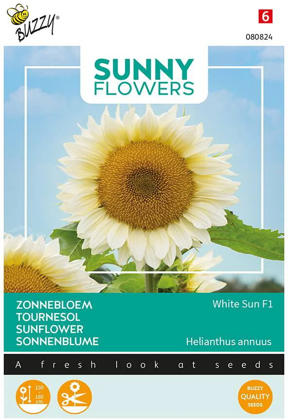 Buzzy seeds sunny flowers bloemenzaad zonnebloem (Helianthus annuus 'White Sun f1')