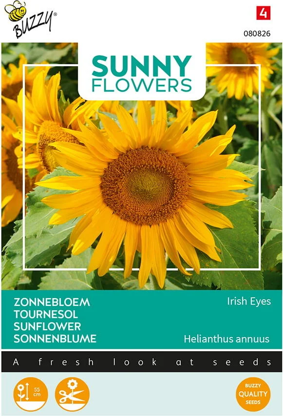 Buzzy Sunny Flowers Bloemenzaad Zonnebloem (Helianthus 'Irish Eyes')