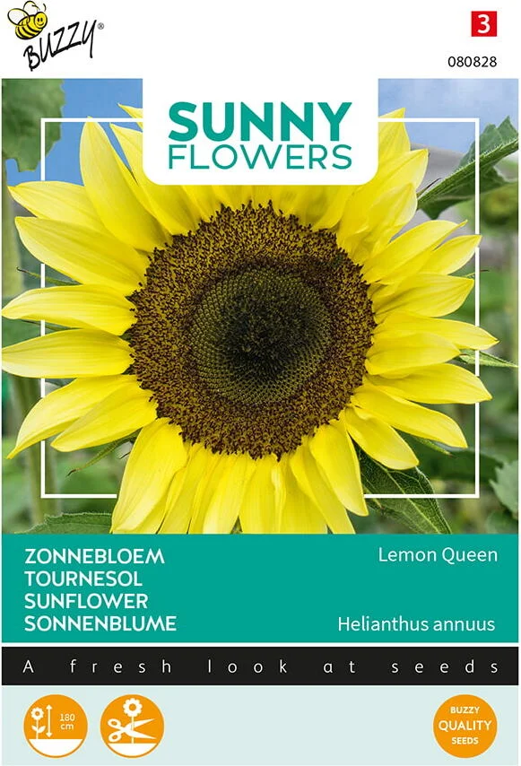 Buzzy Sunny Flowers Bloemenzaad Zonnebloem (Helianthus 'Lemon Queen')