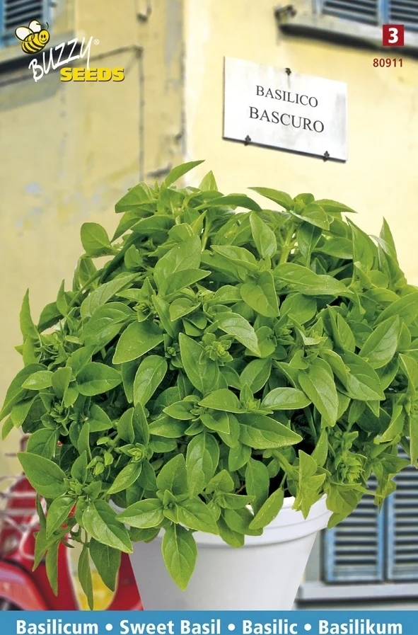 Buzzy® Thema Series Basilico Bascuro