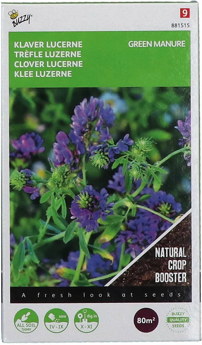 Buzzy seeds groenbemester klaver lucerne (Medicago sativa) 200 g