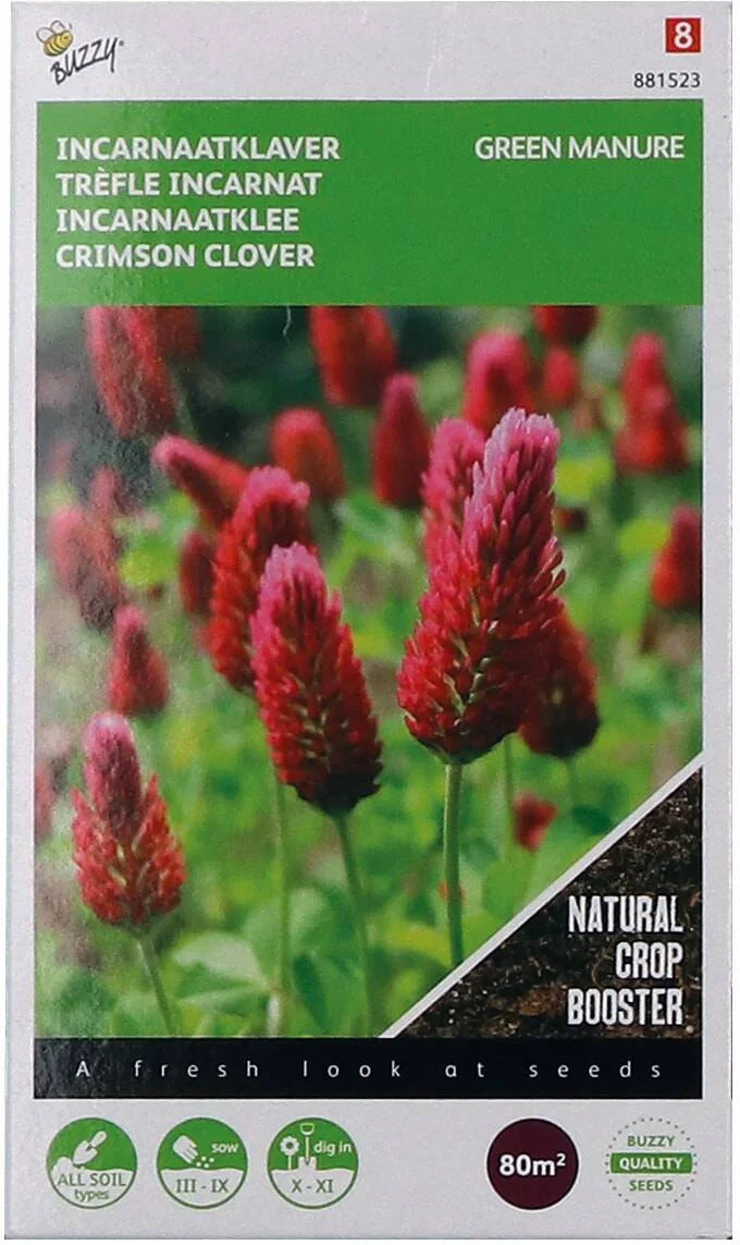 Buzzy seeds groenbemester incarnaatklaver (Trifolium incarnatum) 200 g
