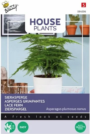 Buzzy House Plants kamerplantenzaad Sierasperge (Asparagus plumosus 'Nanus')
