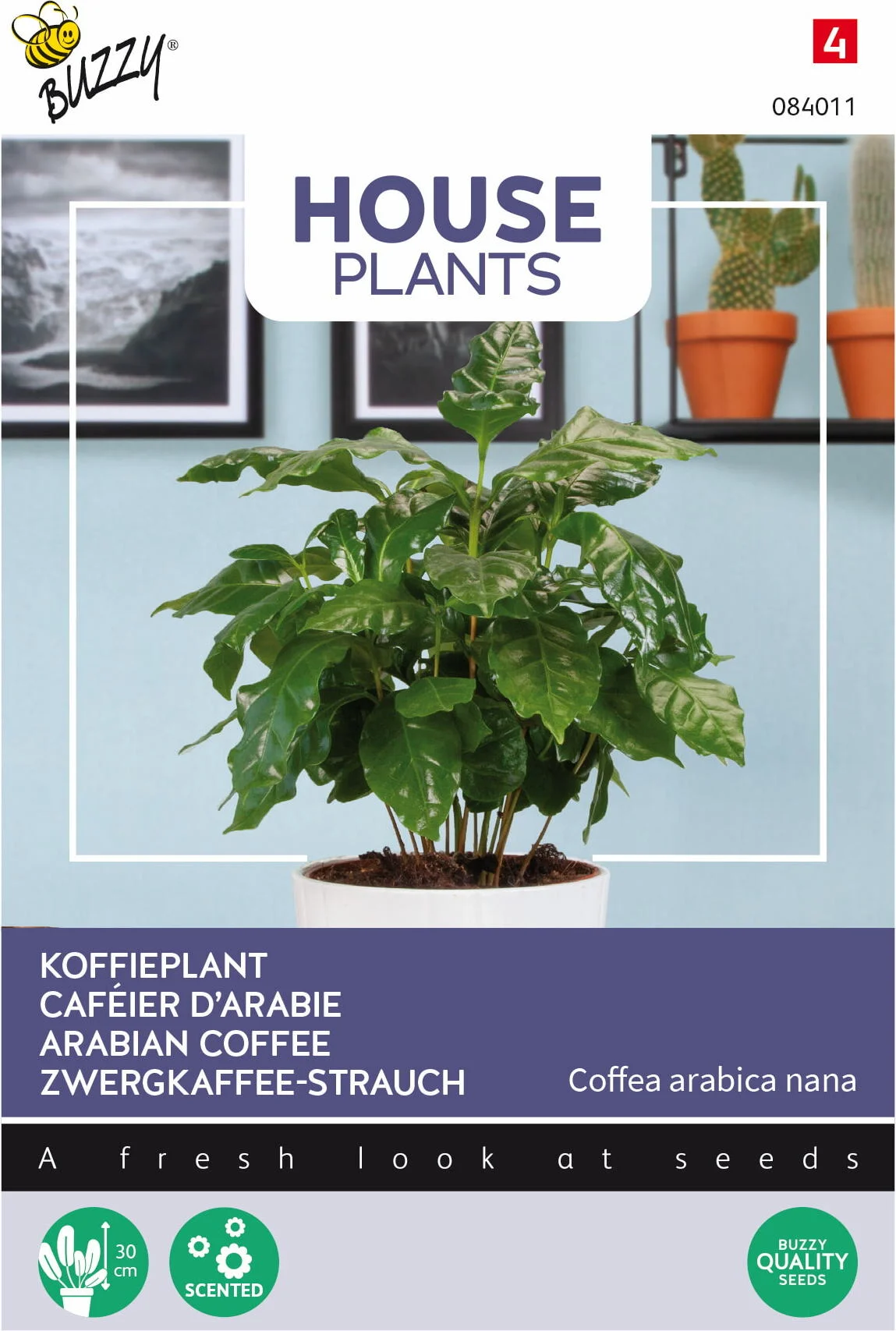 Buzzy House Plants kamerplantenzaad Koffieplant (Coffea arabica 'Nana')